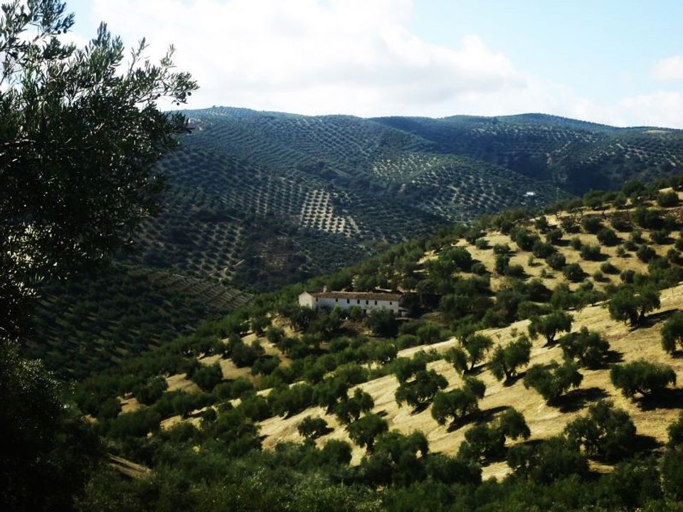 Cortijo i Iznajar, Cordoba - foto 3